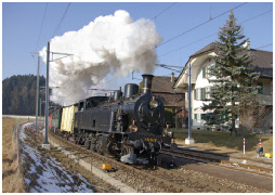European steam